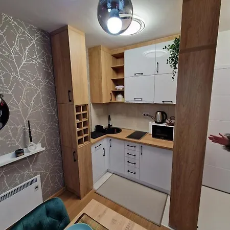 Apartmani Pampas Zlatibor Exterior photo